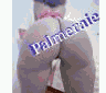 77 245 18 06 ❤️❤️ Mangui yoff pharmacie bcéao :  Taille coca cola :  Sétsima bb ma katella bagua saw